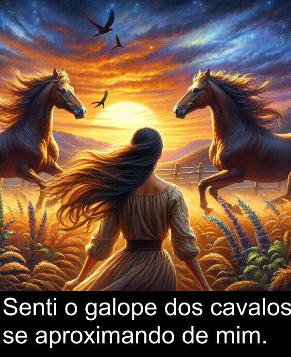 galope: Senti o galope dos cavalos se aproximando de mim.