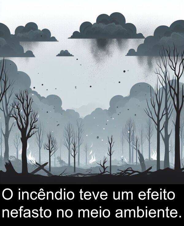 incêndio: O incêndio teve um efeito nefasto no meio ambiente.