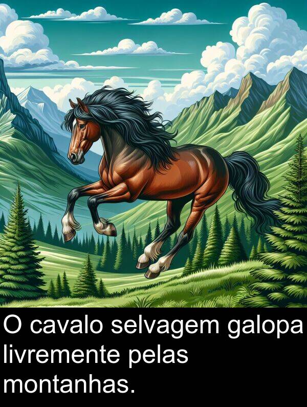 galopa: O cavalo selvagem galopa livremente pelas montanhas.