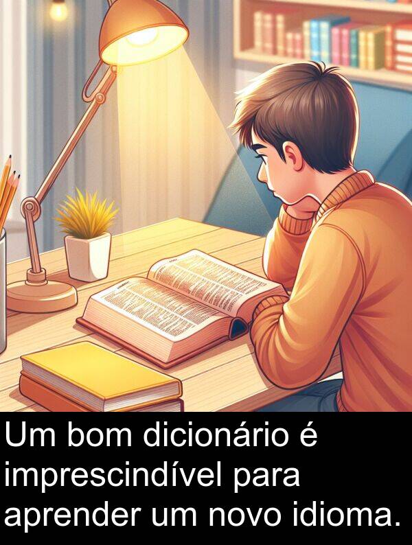 novo: Um bom dicionário é imprescindível para aprender um novo idioma.