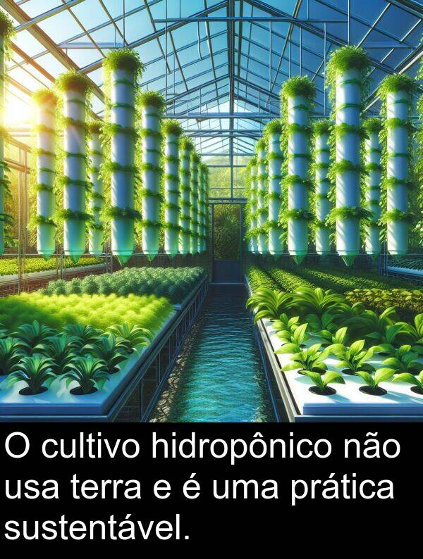 prática: O cultivo hidropônico não usa terra e é uma prática sustentável.