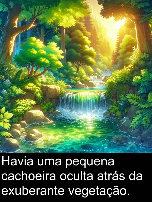 cachoeira: Havia uma pequena cachoeira oculta atrás da exuberante vegetação.