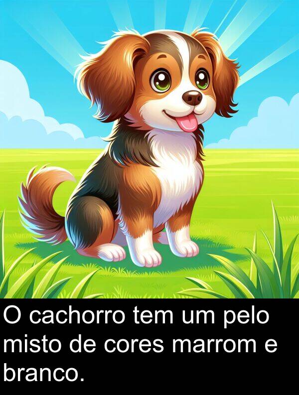 pelo: O cachorro tem um pelo misto de cores marrom e branco.