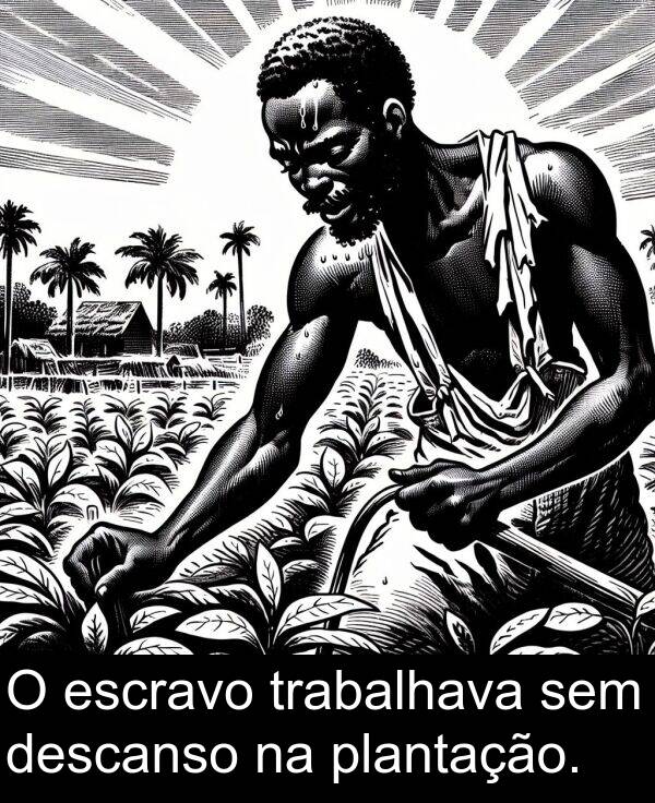 trabalhava: O escravo trabalhava sem descanso na plantação.