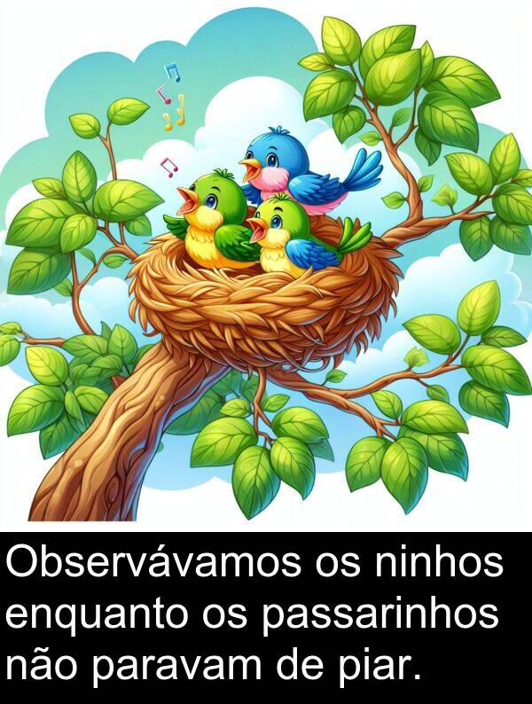 paravam: Observávamos os ninhos enquanto os passarinhos não paravam de piar.