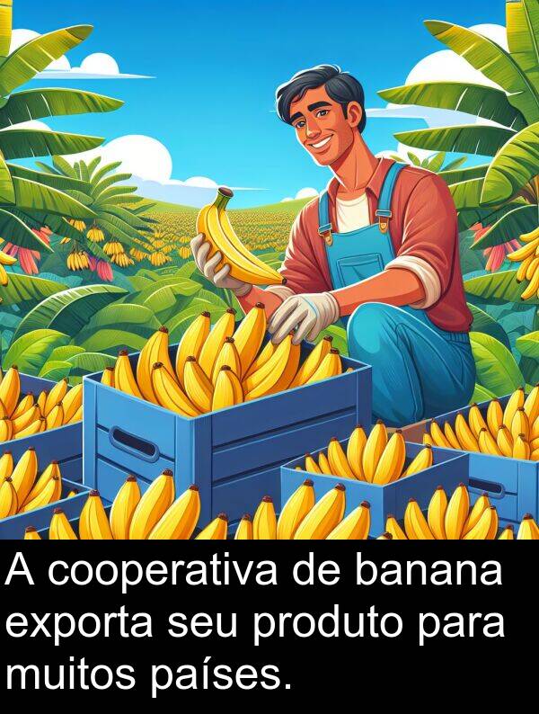 países: A cooperativa de banana exporta seu produto para muitos países.