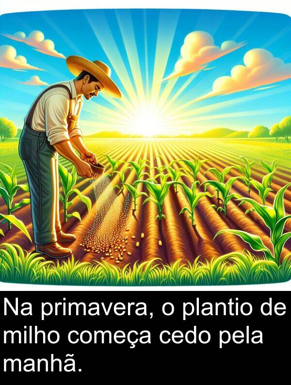 manhã: Na primavera, o plantio de milho começa cedo pela manhã.