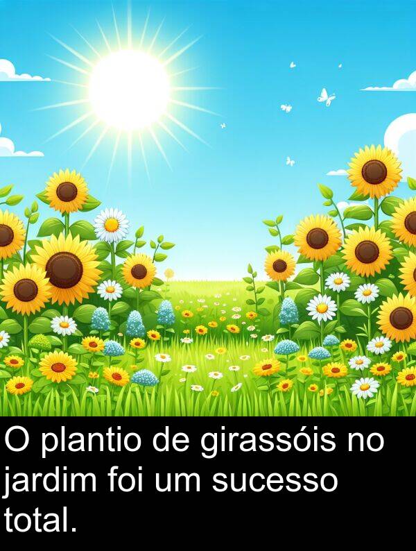 jardim: O plantio de girassóis no jardim foi um sucesso total.