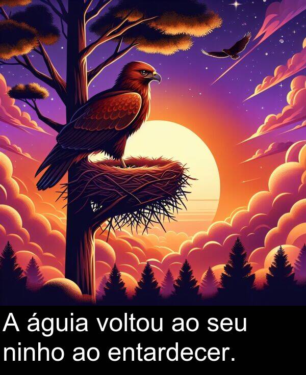 seu: A águia voltou ao seu ninho ao entardecer.
