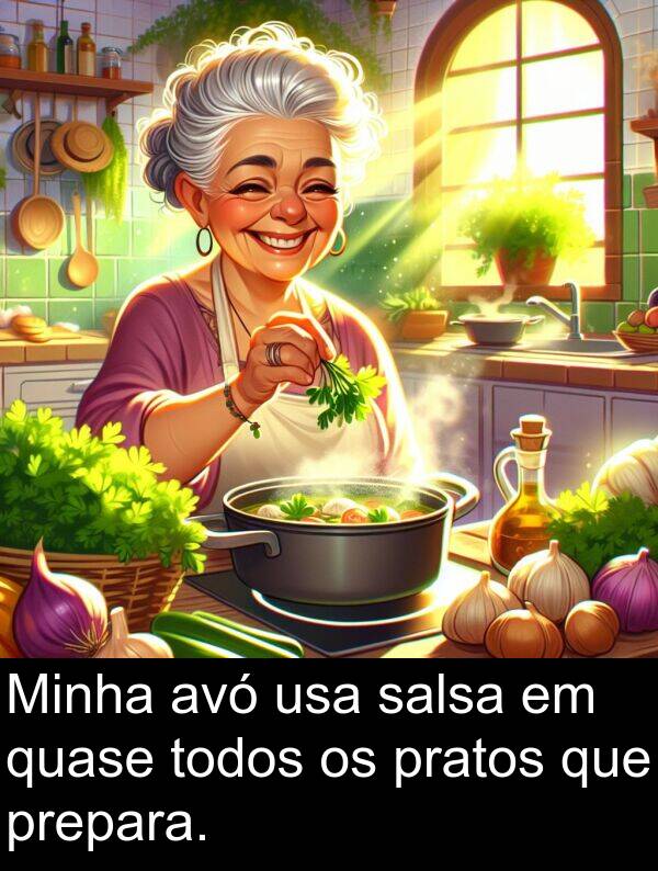 salsa: Minha avó usa salsa em quase todos os pratos que prepara.