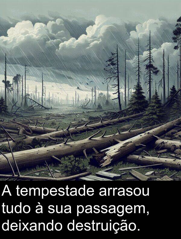 passagem: A tempestade arrasou tudo à sua passagem, deixando destruição.