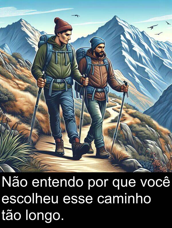 caminho: Não entendo por que você escolheu esse caminho tão longo.