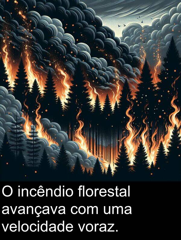 incêndio: O incêndio florestal avançava com uma velocidade voraz.