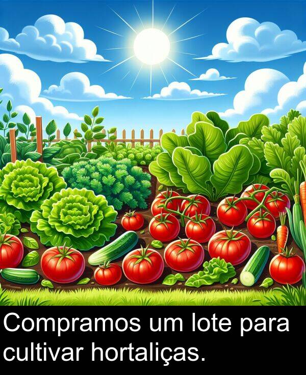 para: Compramos um lote para cultivar hortaliças.