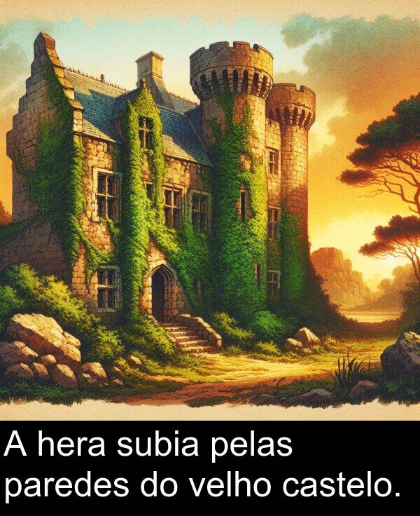 paredes: A hera subia pelas paredes do velho castelo.