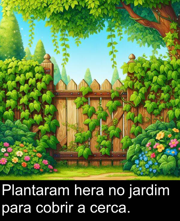 para: Plantaram hera no jardim para cobrir a cerca.