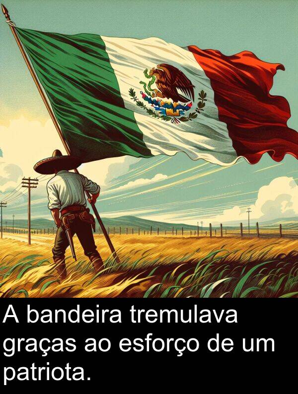 esforço: A bandeira tremulava graças ao esforço de um patriota.