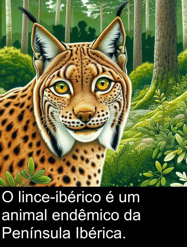 endêmico: O lince-ibérico é um animal endêmico da Península Ibérica.