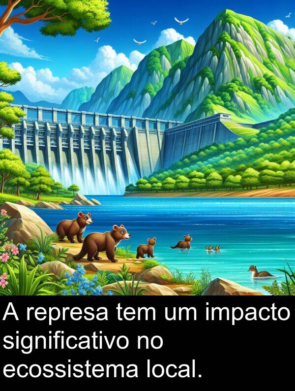 impacto: A represa tem um impacto significativo no ecossistema local.