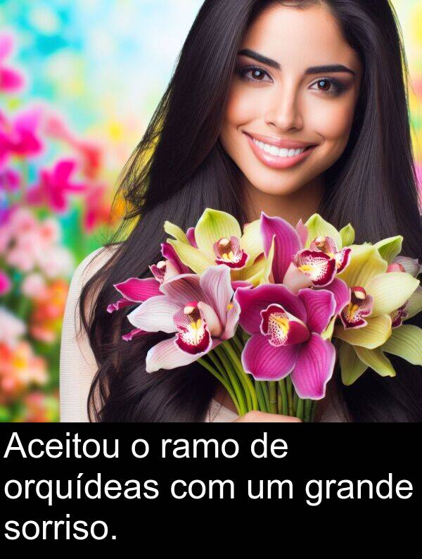 ramo: Aceitou o ramo de orquídeas com um grande sorriso.