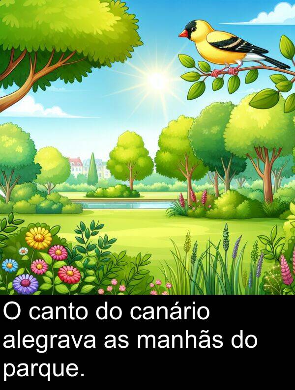 canário: O canto do canário alegrava as manhãs do parque.