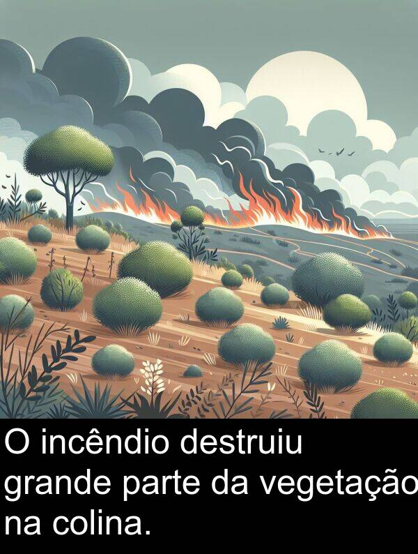 vegetação: O incêndio destruiu grande parte da vegetação na colina.