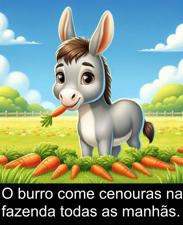 fazenda: O burro come cenouras na fazenda todas as manhãs.