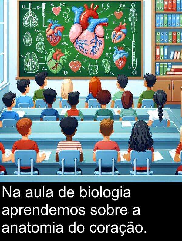 sobre: Na aula de biologia aprendemos sobre a anatomia do coração.