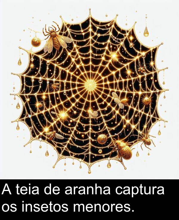 teia: A teia de aranha captura os insetos menores.