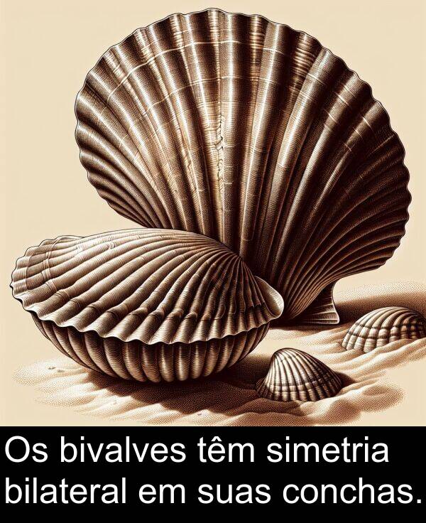 suas: Os bivalves têm simetria bilateral em suas conchas.