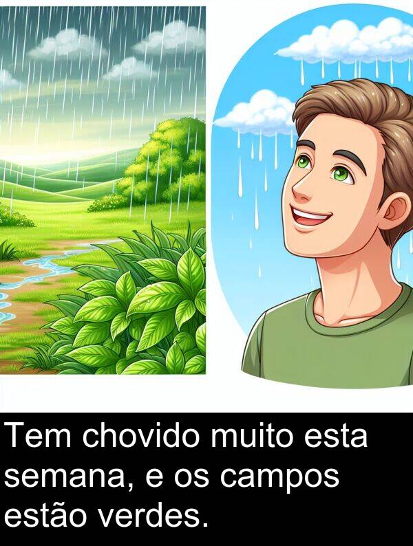 verdes: Tem chovido muito esta semana, e os campos estão verdes.