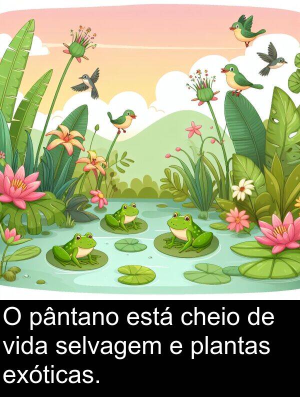 pântano: O pântano está cheio de vida selvagem e plantas exóticas.