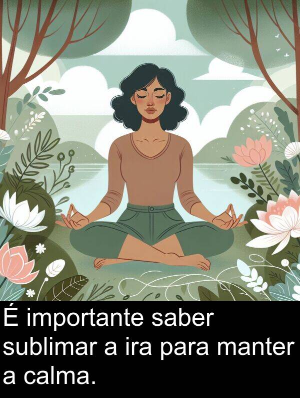saber: É importante saber sublimar a ira para manter a calma.