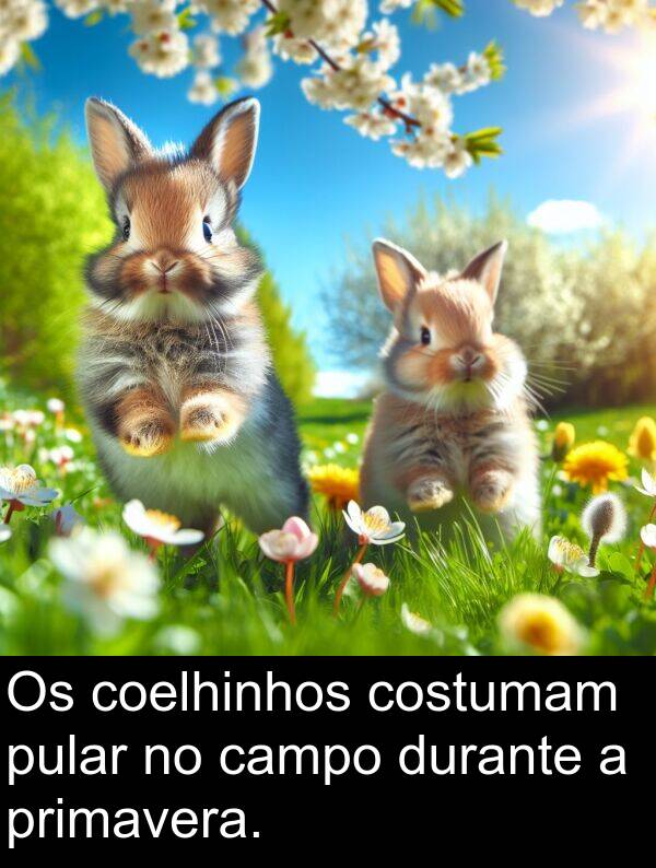 durante: Os coelhinhos costumam pular no campo durante a primavera.