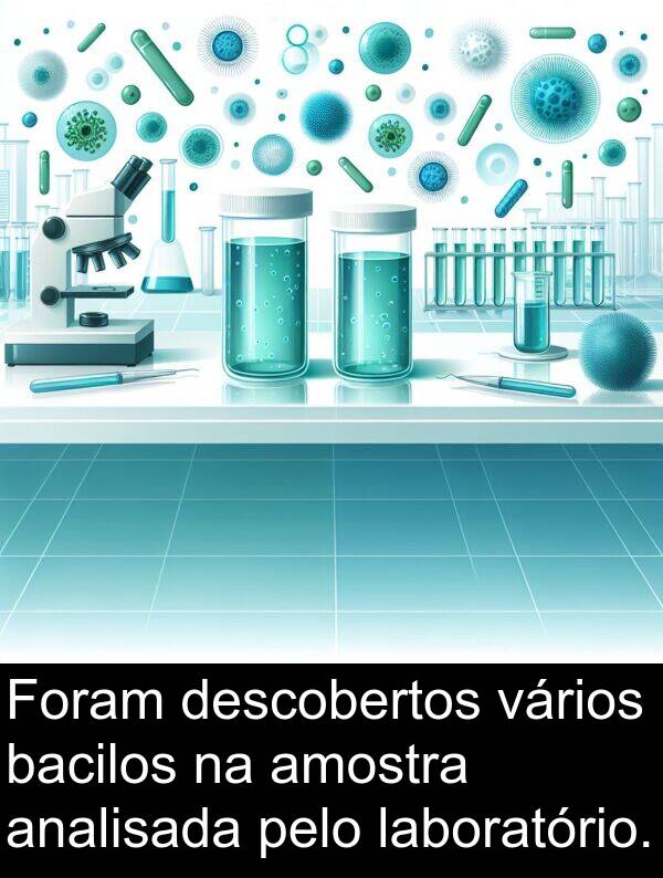vários: Foram descobertos vários bacilos na amostra analisada pelo laboratório.