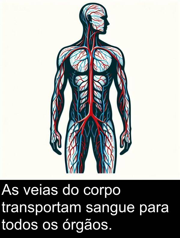 sangue: As veias do corpo transportam sangue para todos os órgãos.