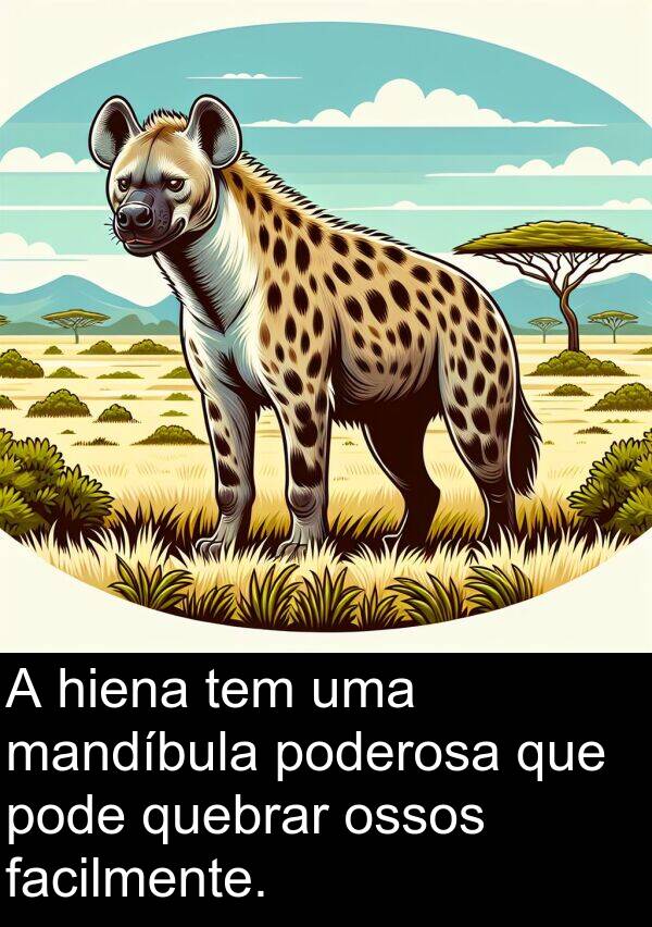 facilmente: A hiena tem uma mandíbula poderosa que pode quebrar ossos facilmente.