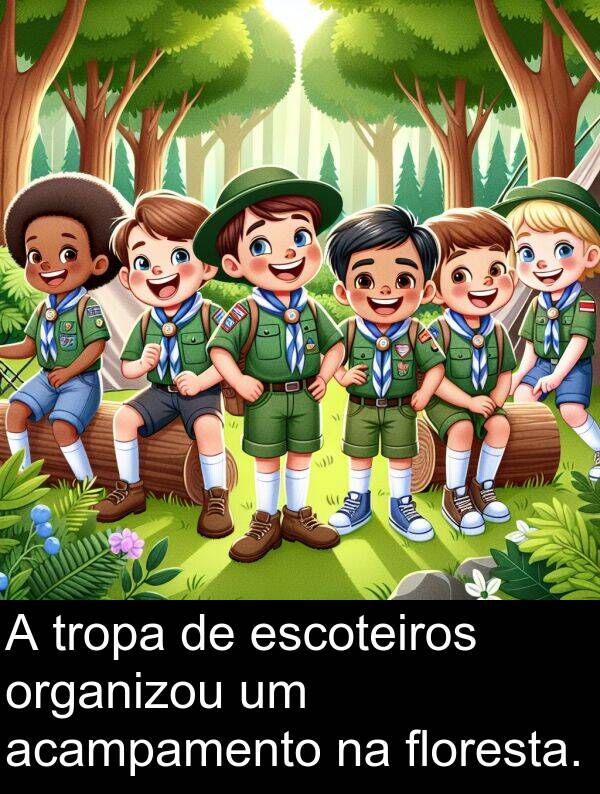 acampamento: A tropa de escoteiros organizou um acampamento na floresta.