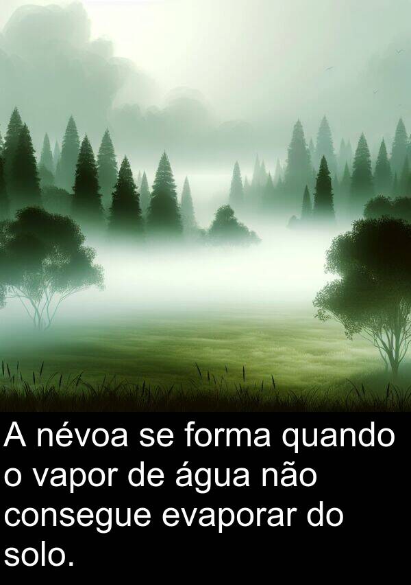 vapor: A névoa se forma quando o vapor de água não consegue evaporar do solo.