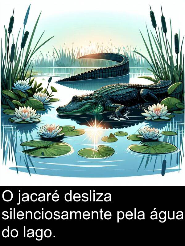 jacaré: O jacaré desliza silenciosamente pela água do lago.