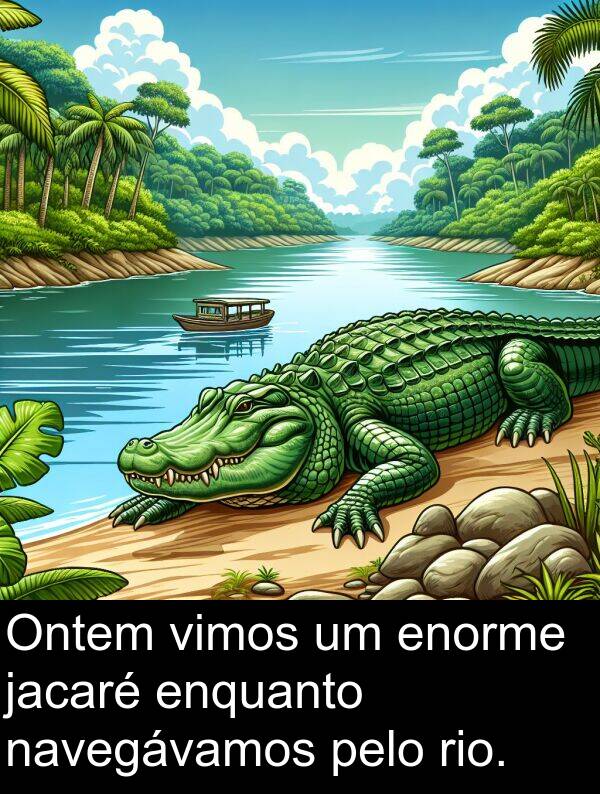 jacaré: Ontem vimos um enorme jacaré enquanto navegávamos pelo rio.