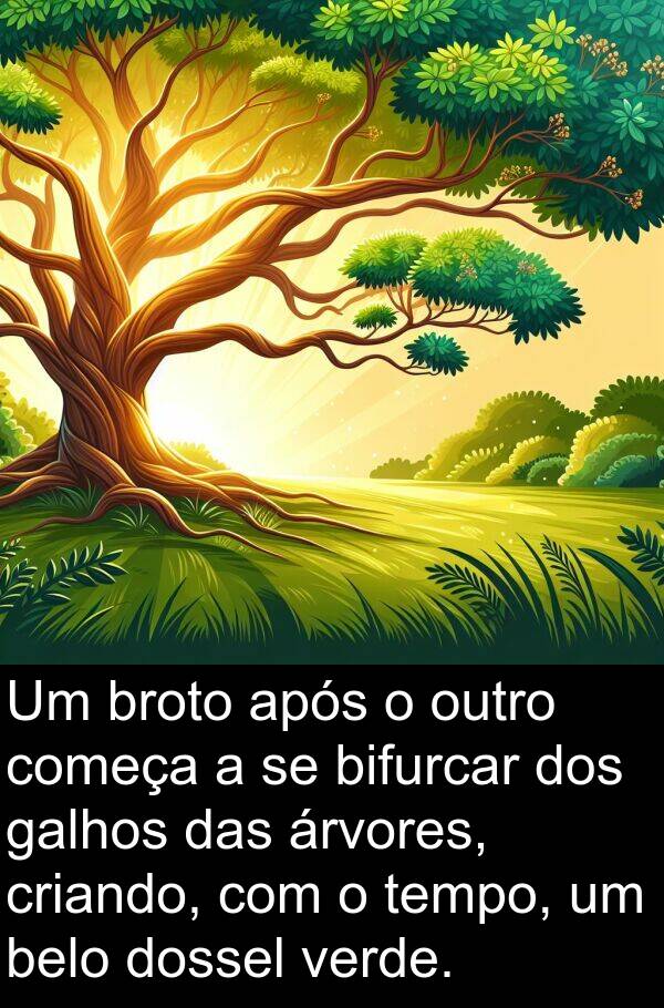após: Um broto após o outro começa a se bifurcar dos galhos das árvores, criando, com o tempo, um belo dossel verde.