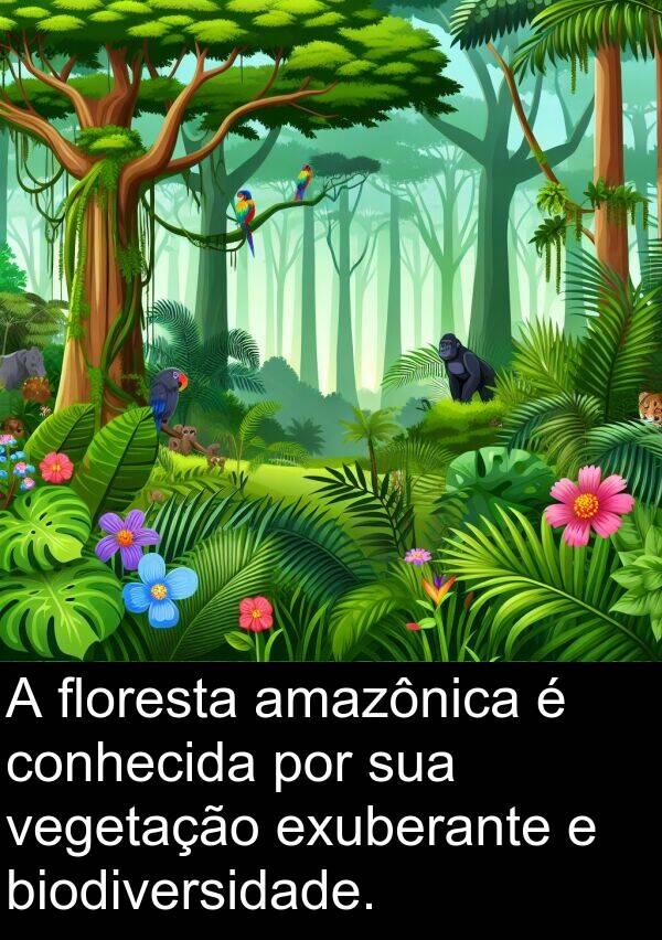 floresta: A floresta amazônica é conhecida por sua vegetação exuberante e biodiversidade.