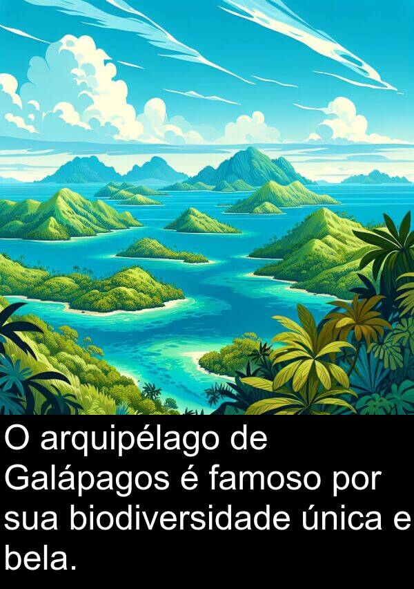 única: O arquipélago de Galápagos é famoso por sua biodiversidade única e bela.