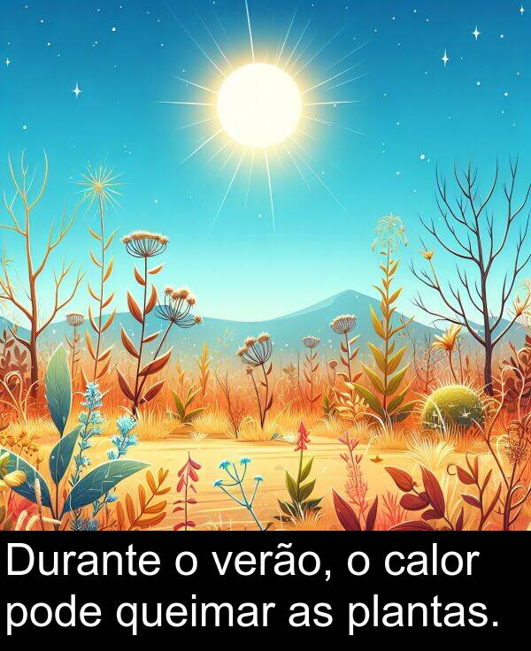 queimar: Durante o verão, o calor pode queimar as plantas.