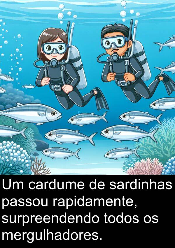 rapidamente: Um cardume de sardinhas passou rapidamente, surpreendendo todos os mergulhadores.