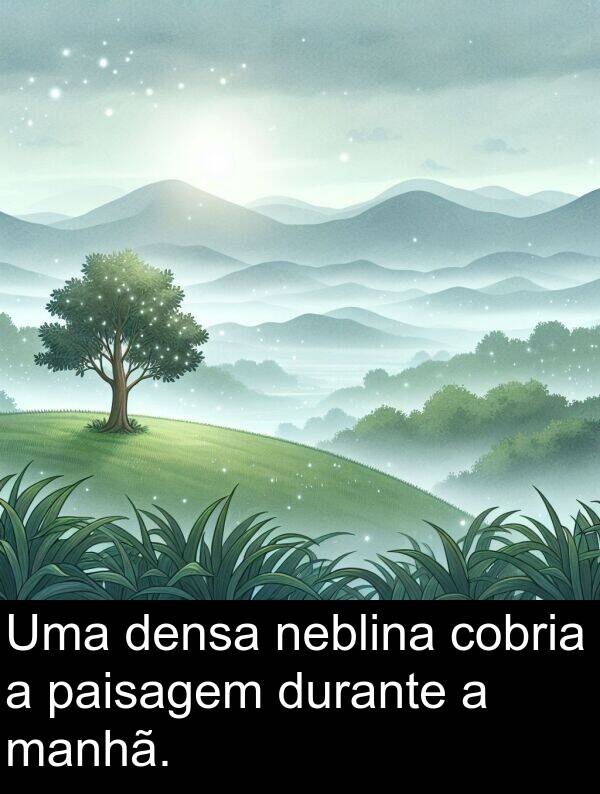 manhã: Uma densa neblina cobria a paisagem durante a manhã.
