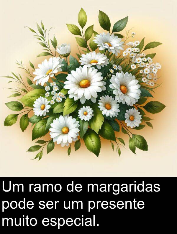 presente: Um ramo de margaridas pode ser um presente muito especial.