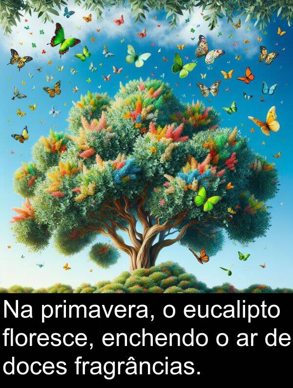 floresce: Na primavera, o eucalipto floresce, enchendo o ar de doces fragrâncias.