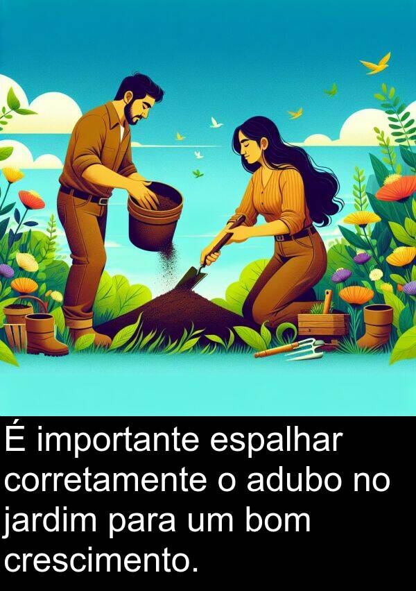 adubo: É importante espalhar corretamente o adubo no jardim para um bom crescimento.
